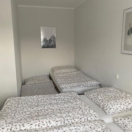 Apartman V Koutech Kouty nad Desnou Eksteriør billede