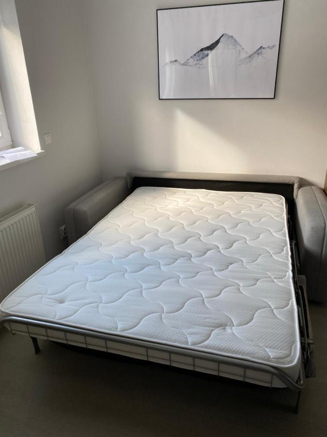 Apartman V Koutech Kouty nad Desnou Eksteriør billede